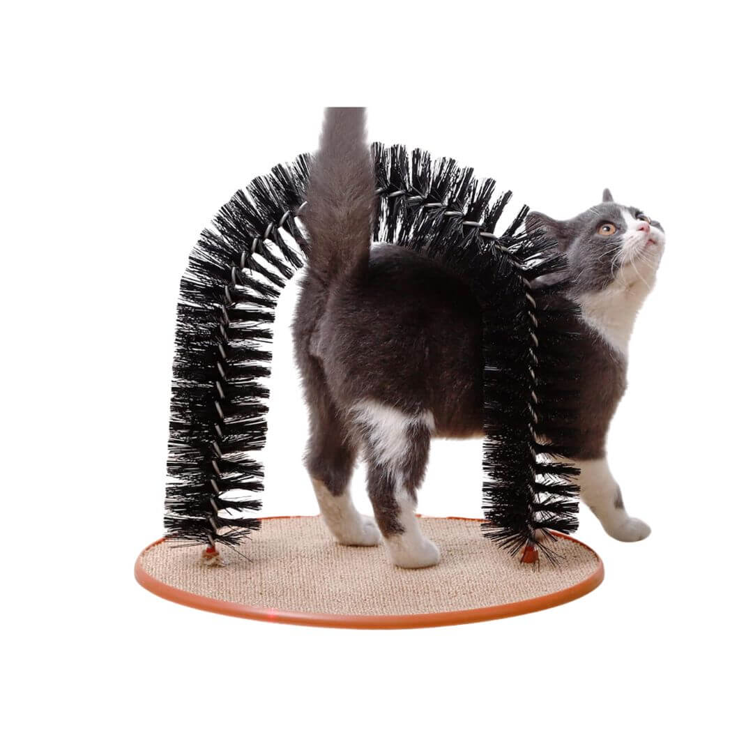 Arc griffoir Bulle Animale™