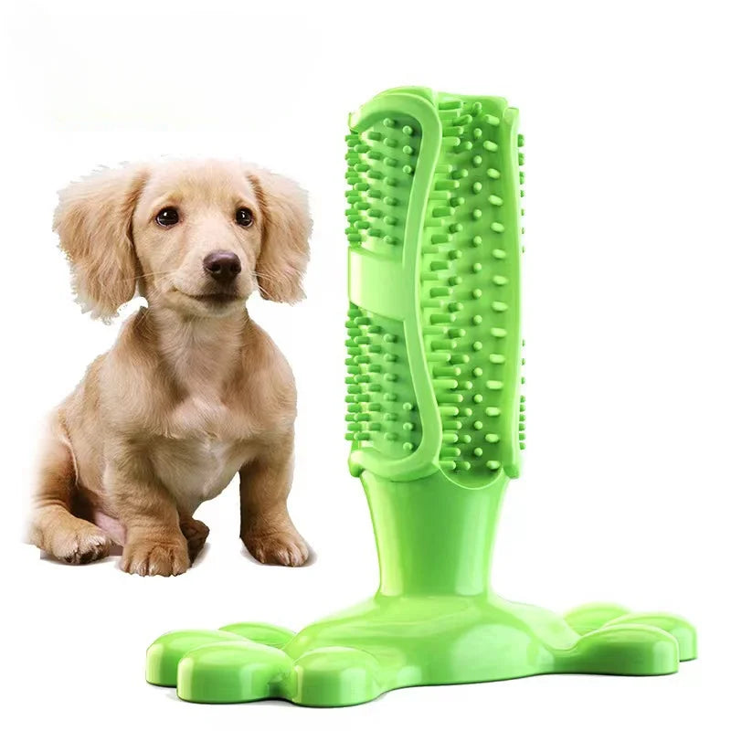 Brosse à mâcher