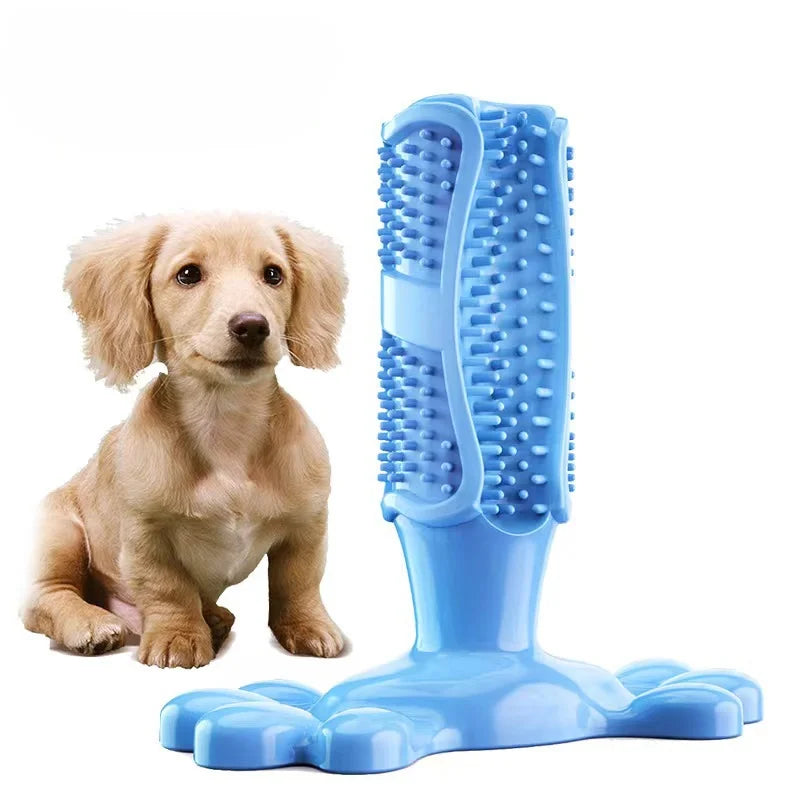 Brosse à mâcher