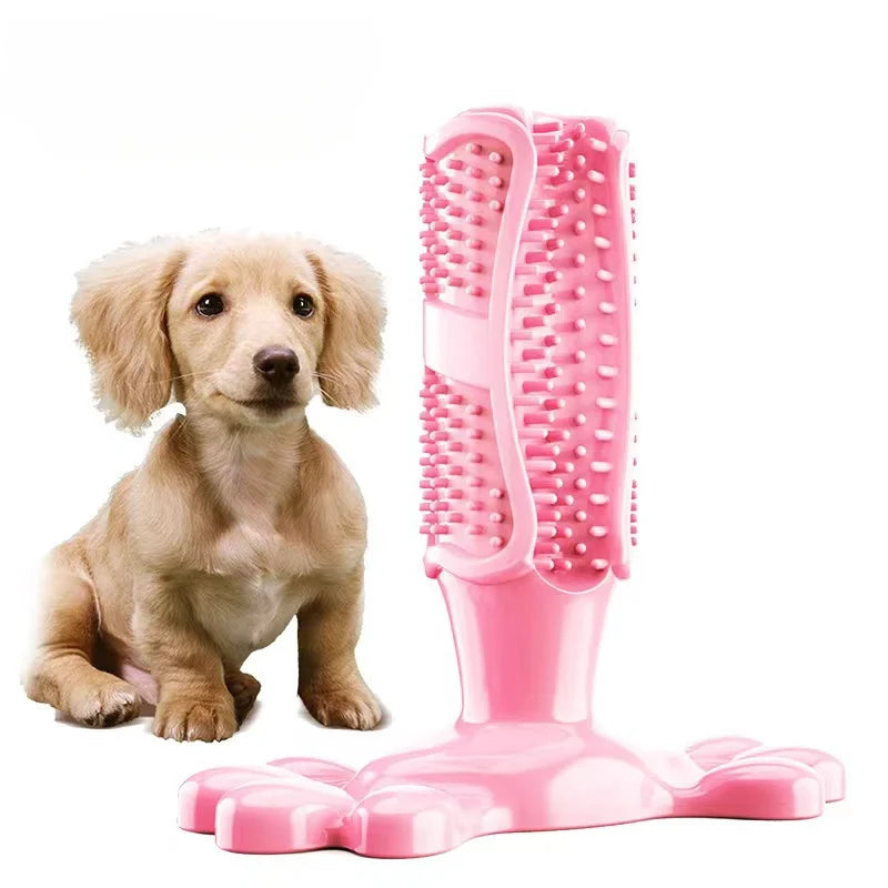 Brosse à mâcher